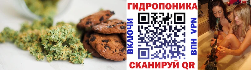 Купить где  Могоча  Печенье с ТГК конопля 