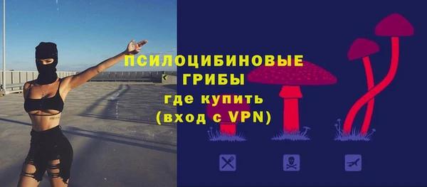 первитин Вяземский