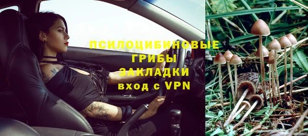 первитин Вяземский