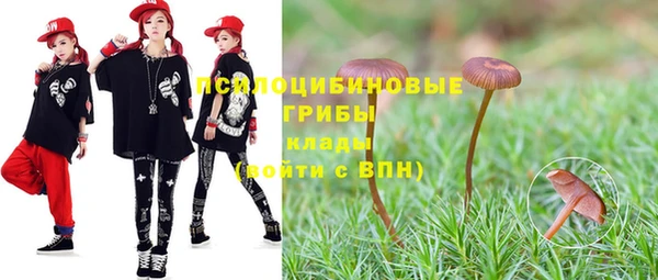 первитин Вяземский