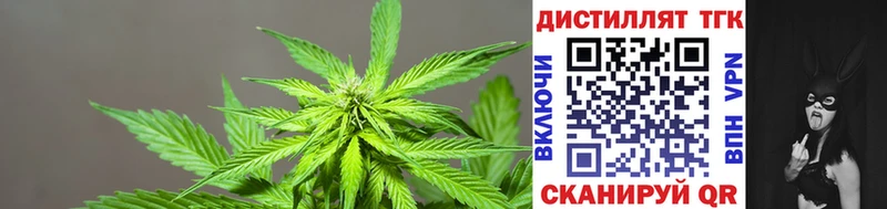 ТГК жижа  Купить  Могоча 